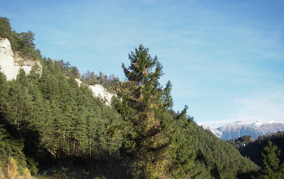 Österreich Wellness